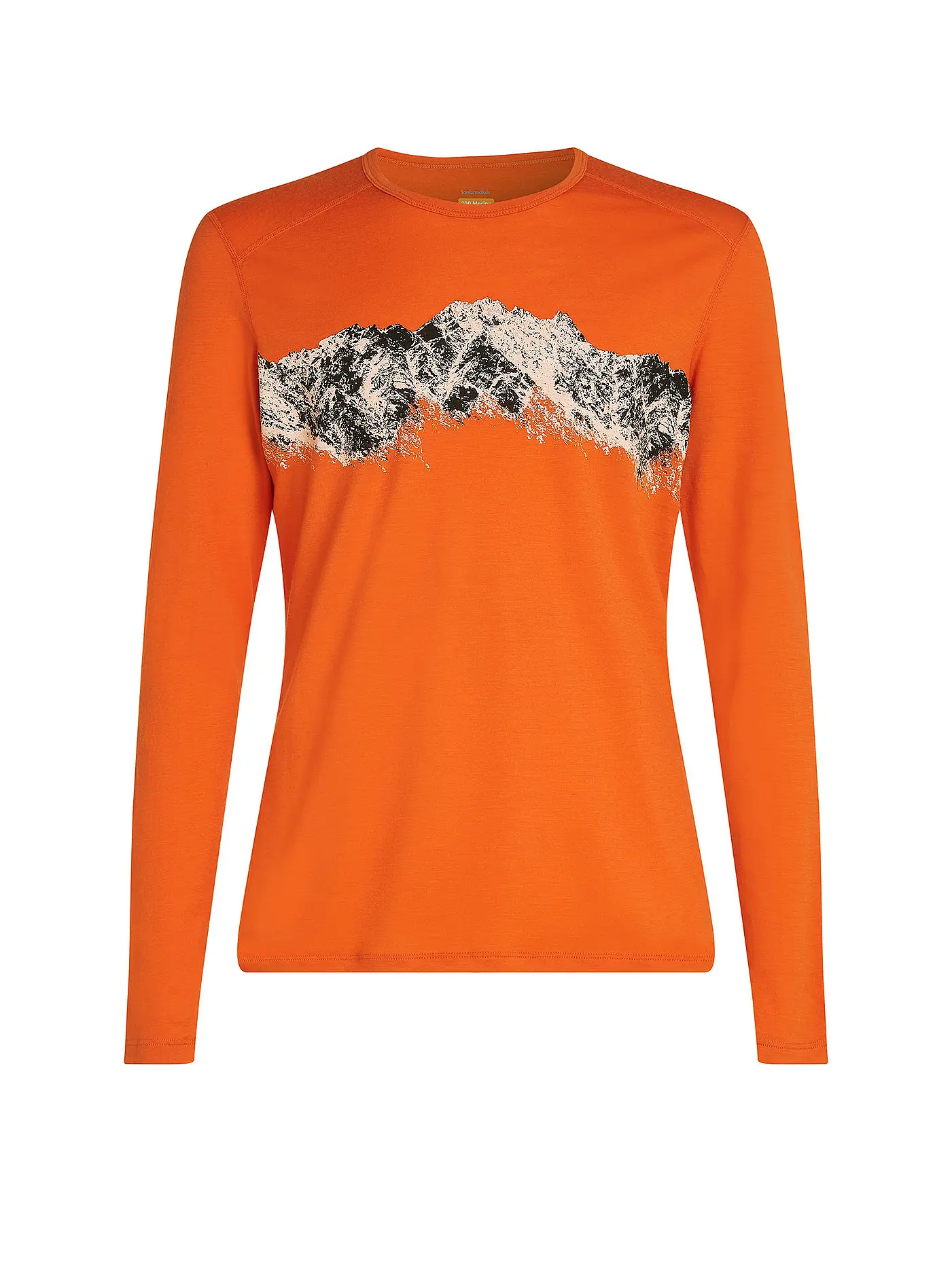 ICEBREAKER | Herren Funktionsshirt Merino 200 Oasis Thermo | 
